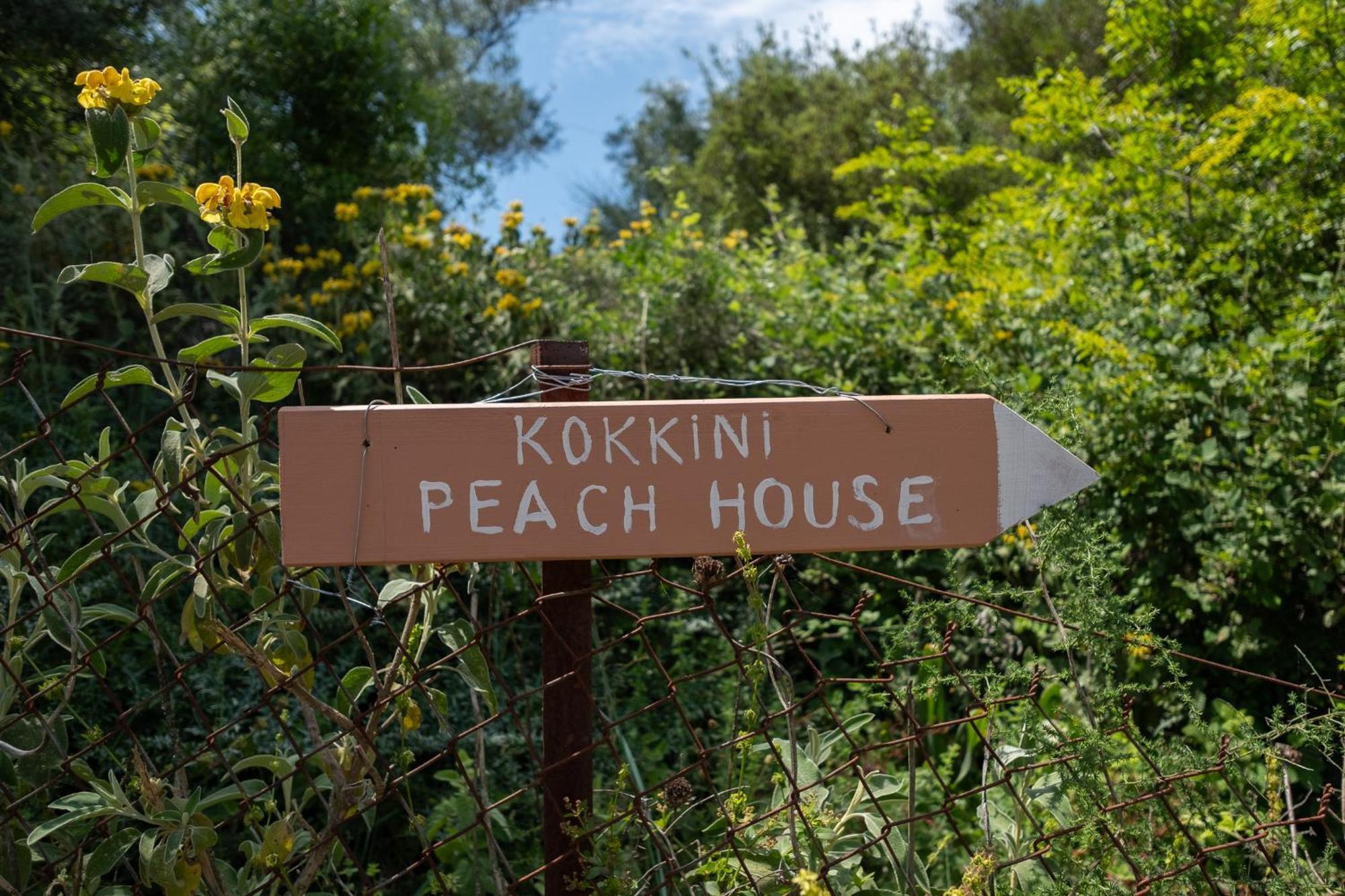 Apartament Kokkini Peach House Kokkínion Zewnętrze zdjęcie