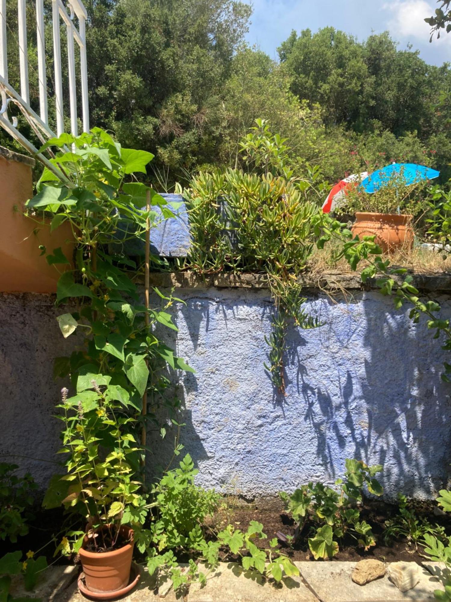 Apartament Kokkini Peach House Kokkínion Zewnętrze zdjęcie